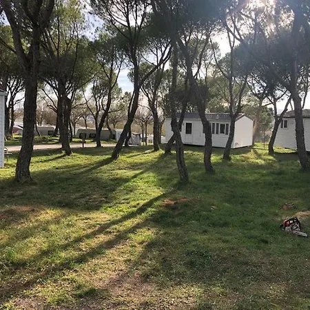 Camping Freixa * Manresa